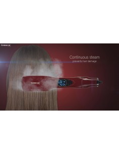 Brosse Lissante a Vapeur... 2